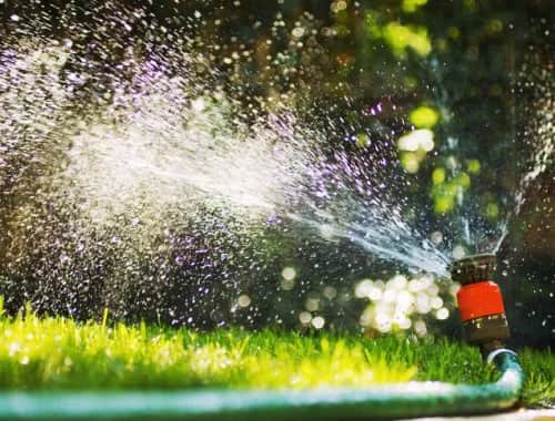 Hunter vs Rain Bird vs Gardena: Który zraszacz wynurzalny wybrać?